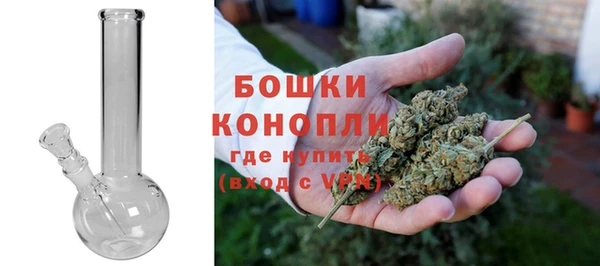PSILOCYBIN Арсеньев