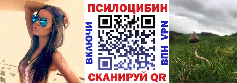 Галлюциногенные грибы Cubensis  наркошоп  Усть-Джегута 